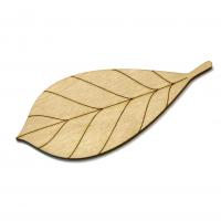 Листок в`яза