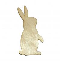 Кролик простий-1