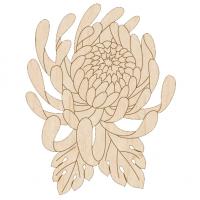 Хризантема