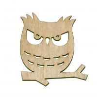 Сова прорізна